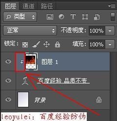 怎样在PhotoShop中把图片效果添加到文字上？