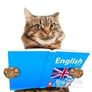 大学生应该如何度过