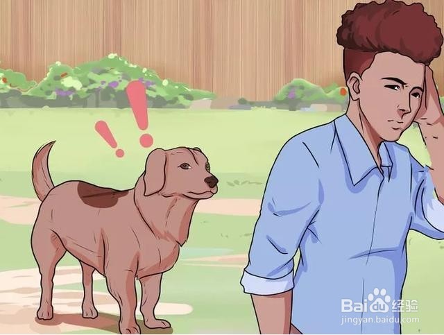 如何防止被疯狗追,以及应对措施