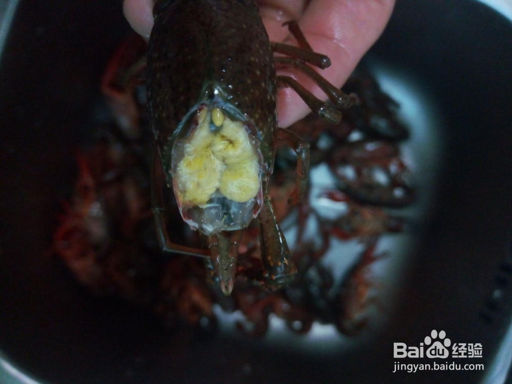 麻辣小龙虾攻略