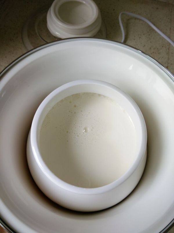 麦片原味酸奶杯