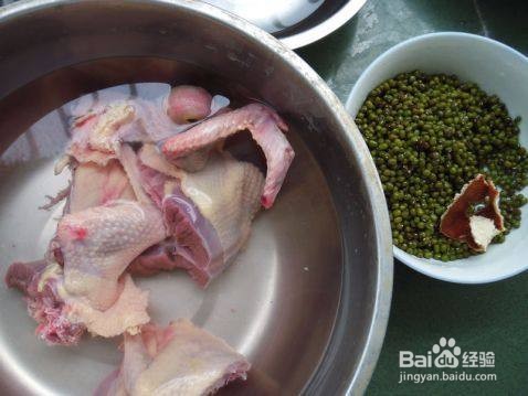 鸽子绿豆汤的做法与功效