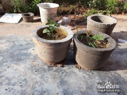 水泥花盆上色技术 DIY水泥盆就不容易了,他还把它变成了火山石盆!