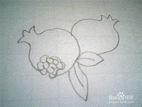简笔画石榴的画法