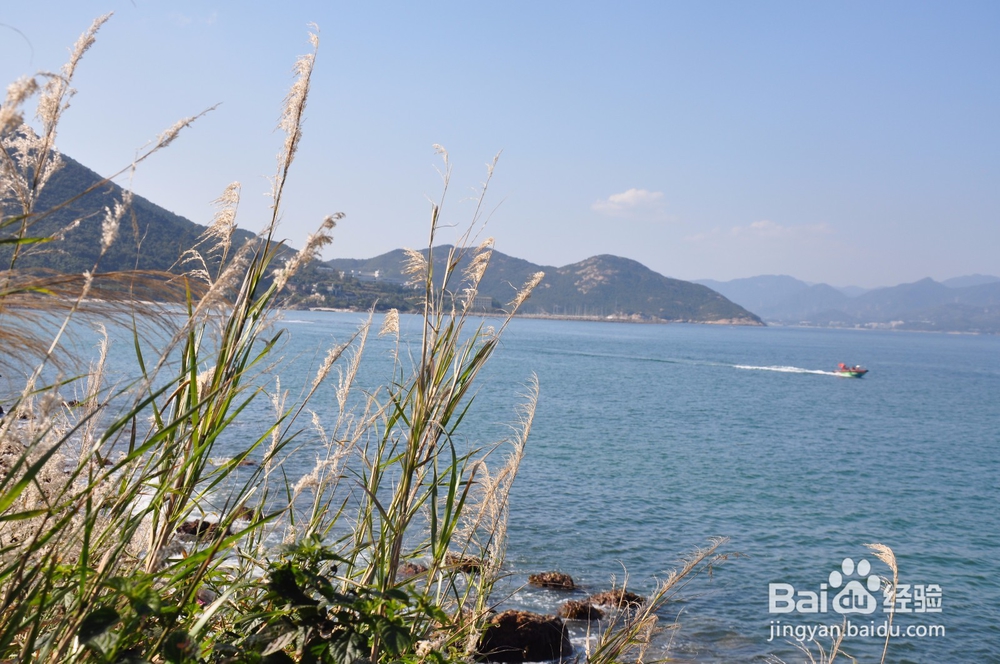 杨梅坑----一个属于钢筋水泥城市的美丽海滩