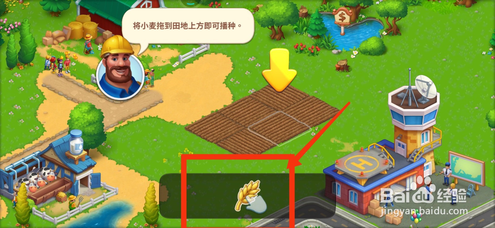 梦想城镇怎样种植小麦