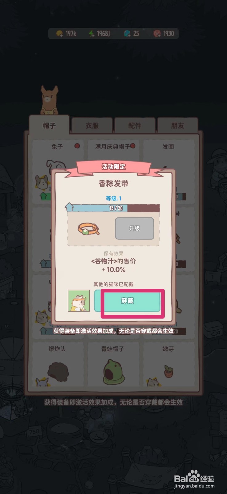 猫咪和汤如何给猫咪戴香粽发带