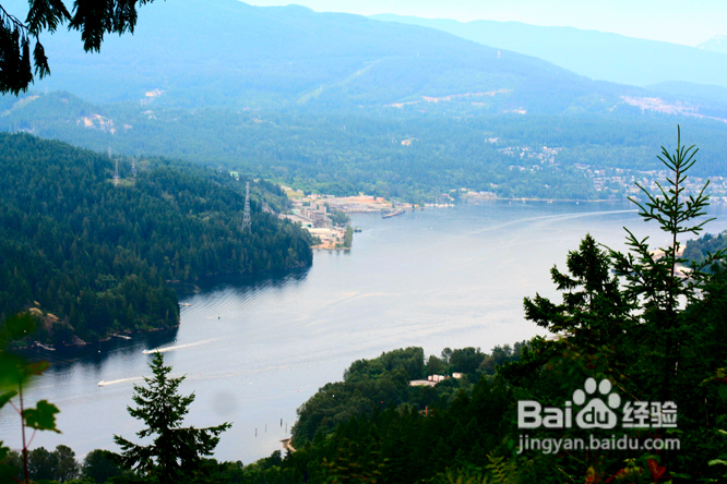 温哥华夜幕下的玫瑰园(组图)