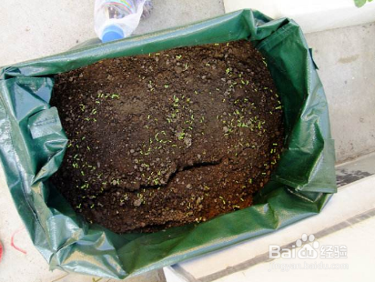 怎样利用废物制作营养花土