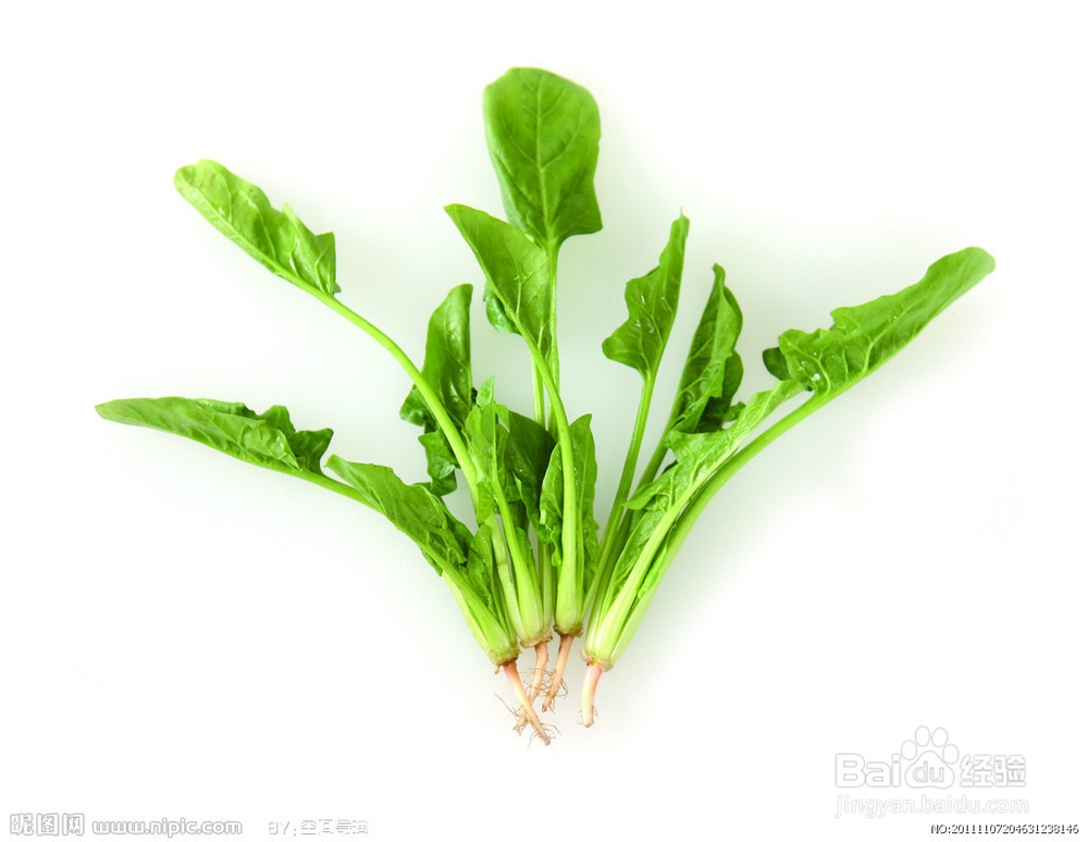 我的养生经验杂谈：[3]各类蔬菜的营养价值