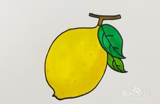 柠檬的简笔画