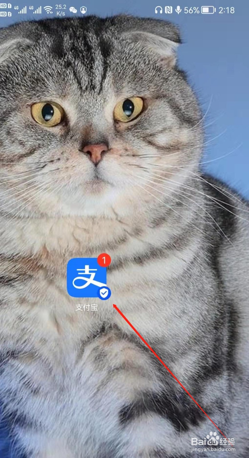 支付宝APP怎么查看我的快递?