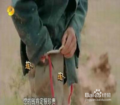 从邹市明那里我们能学到这些。