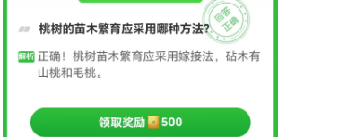 桃树的苗木繁育应采用哪种方法?芭芭农场11.3