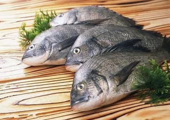 哪些食物能补血