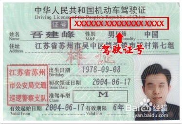怎么查驾驶证档案是否存在网上怎么查驾驶证