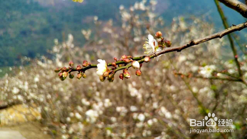 5D3怎么设置景深