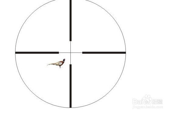 不会订立经济合同怎么办