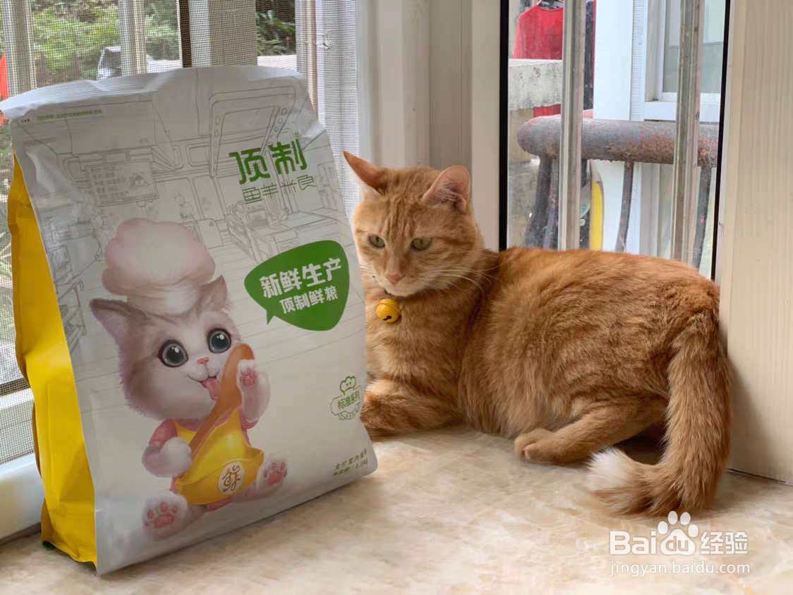 国产猫粮什么牌子好排名公开!