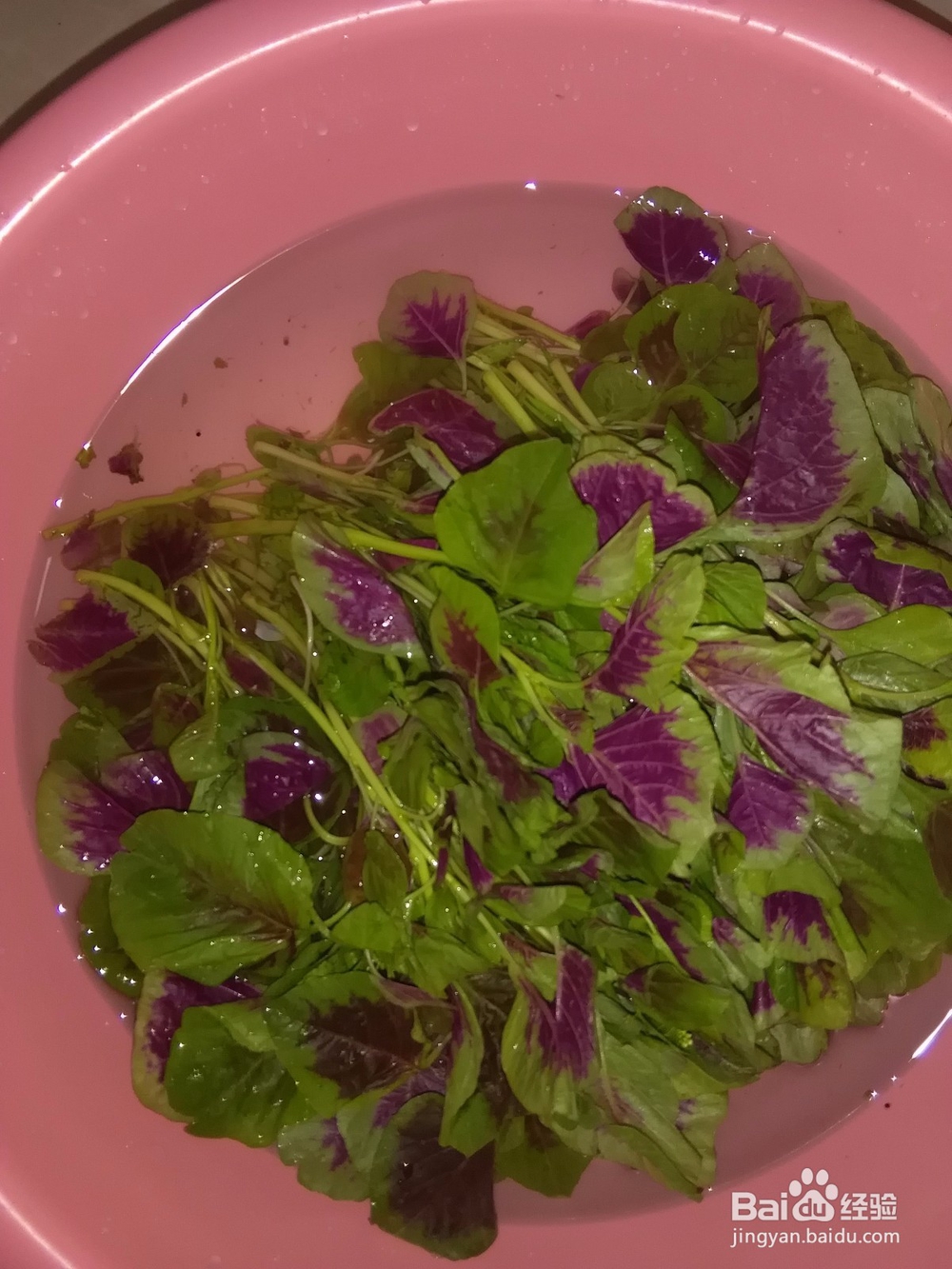 怎样清炒红苋菜
