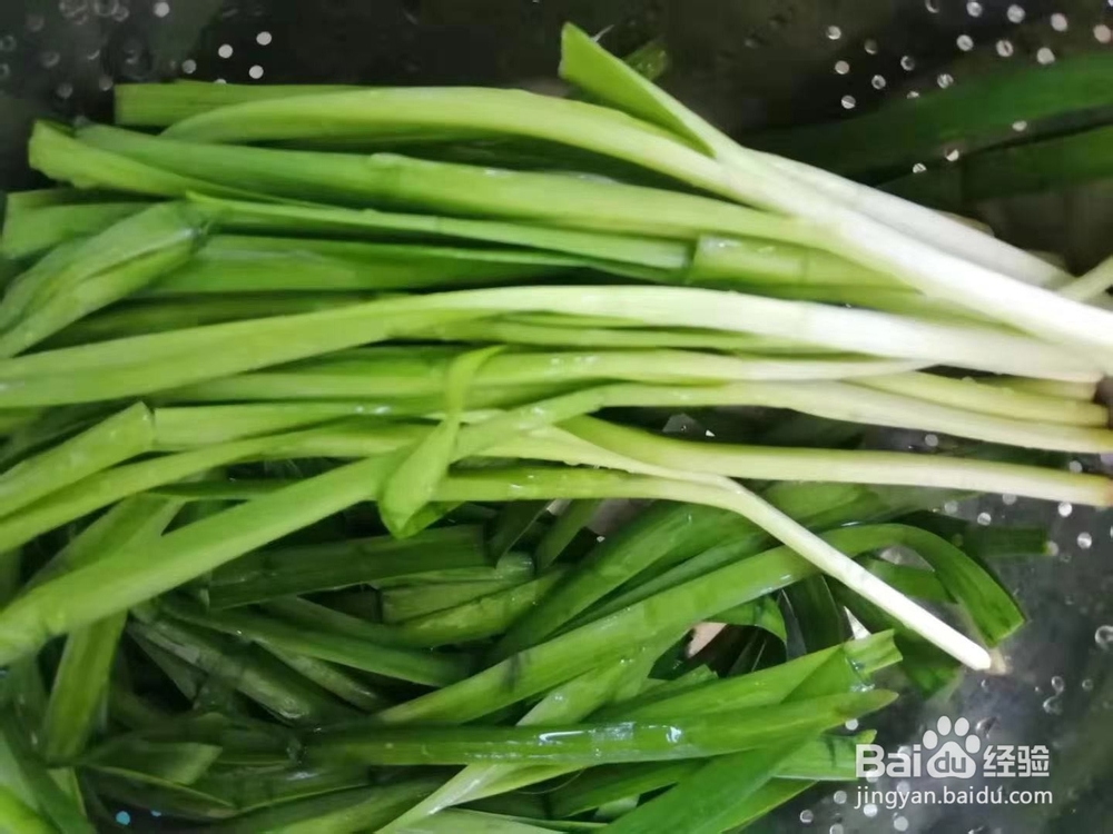 极味家常菜:韭菜炒豆芽