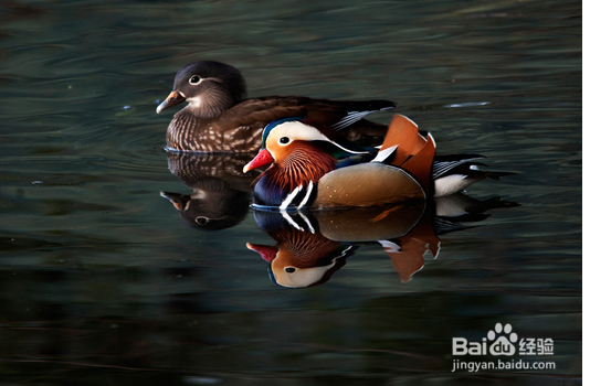 怎样找到合适自己的另一半？