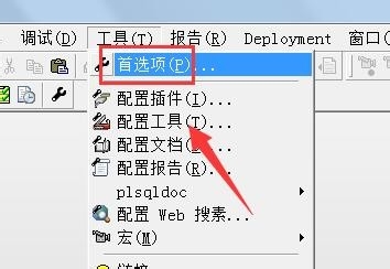 如何设置PLSQL Developer登录保存密码