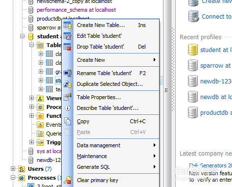 如何使用Maestro导出表记录到EXCEL2003格式文件