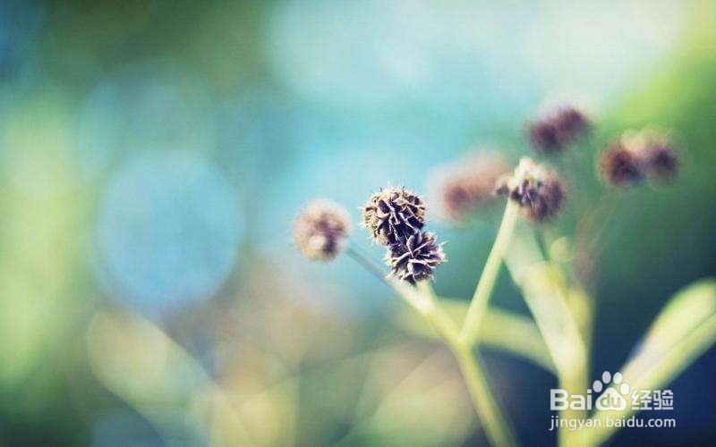 【星座】向来情深,奈何缘浅