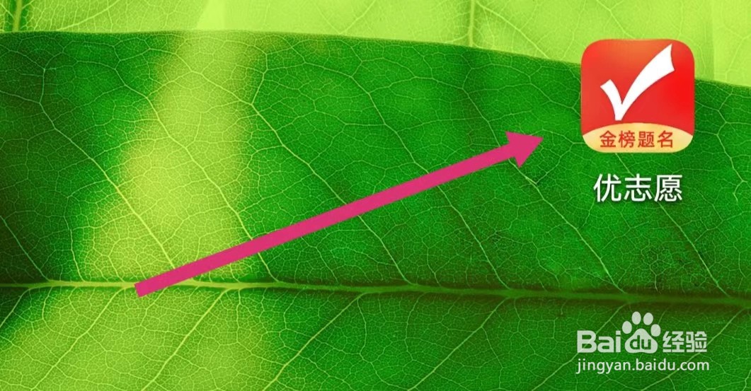 优志愿APP如何进行位次查询？