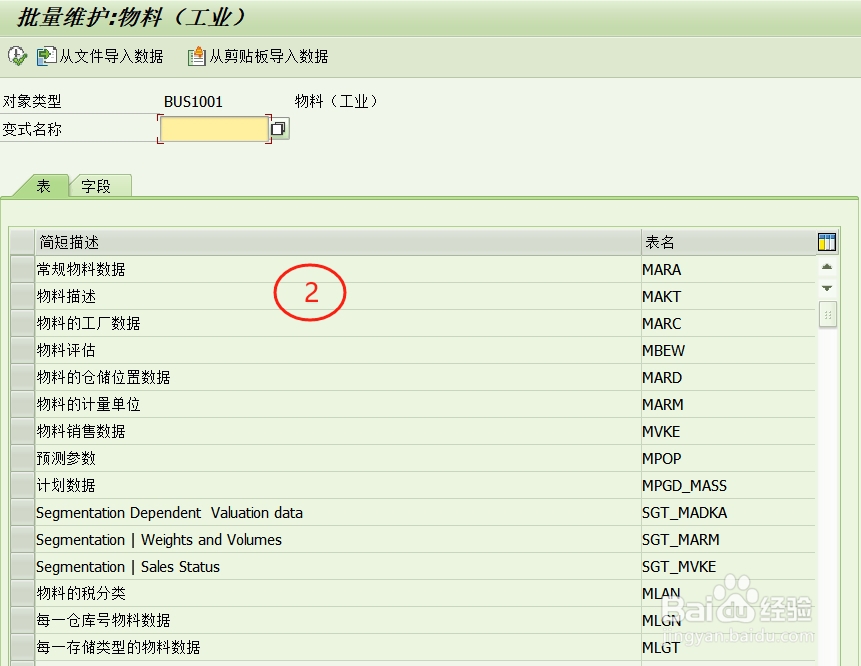 SAP S4 物料描述批量修改