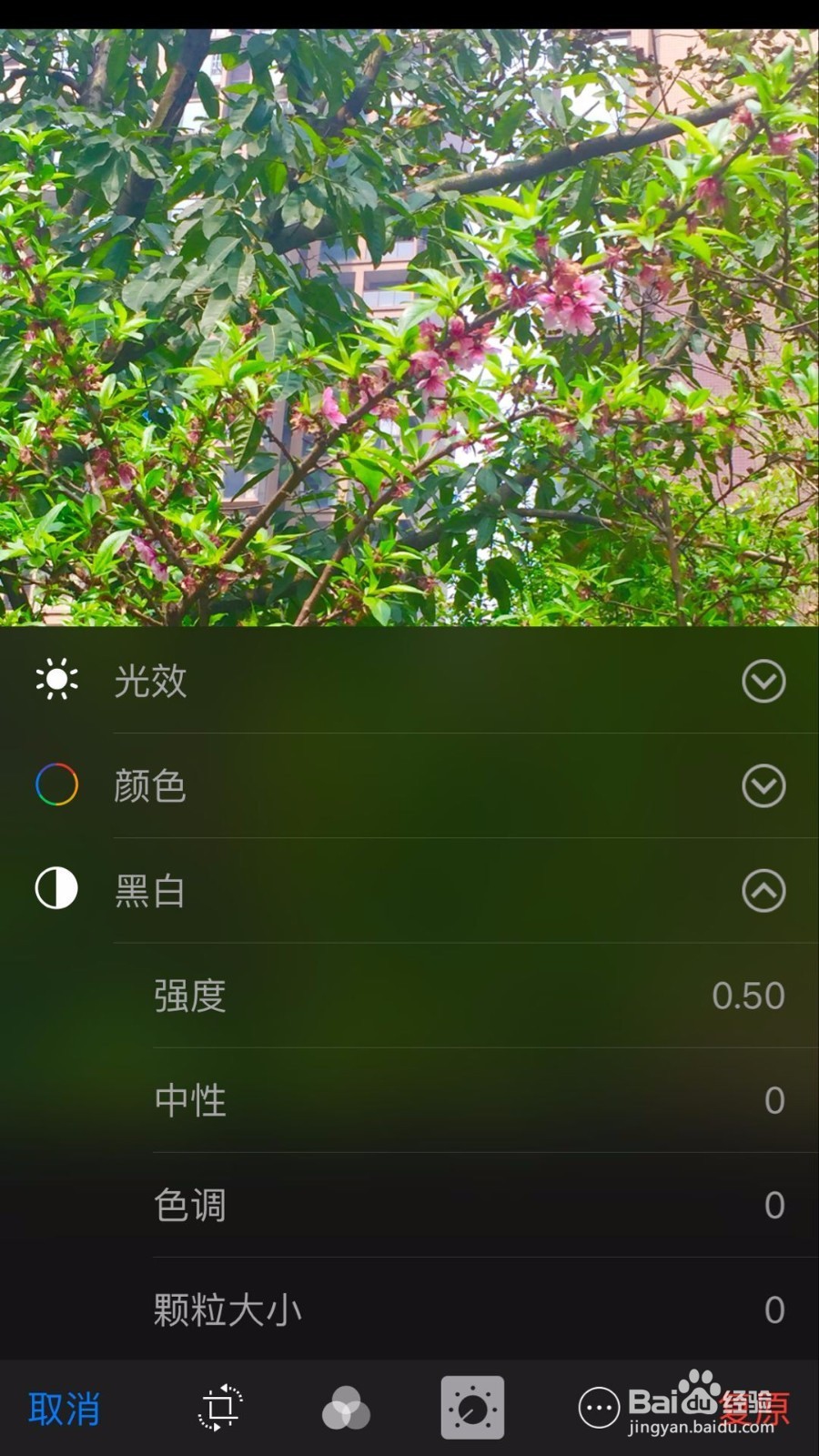 苹果手机把照片变成黑白艺术照的5个方法