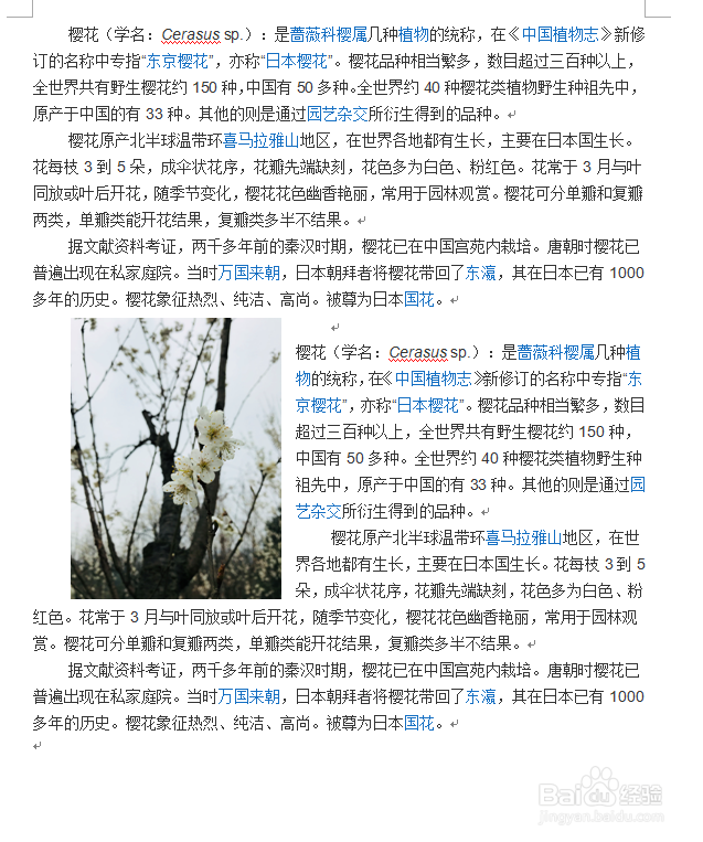 如何在Word插入图片