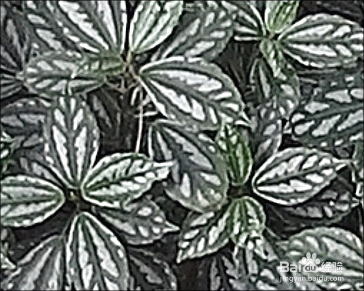 DOD ZS35W行车记录仪开箱晒物