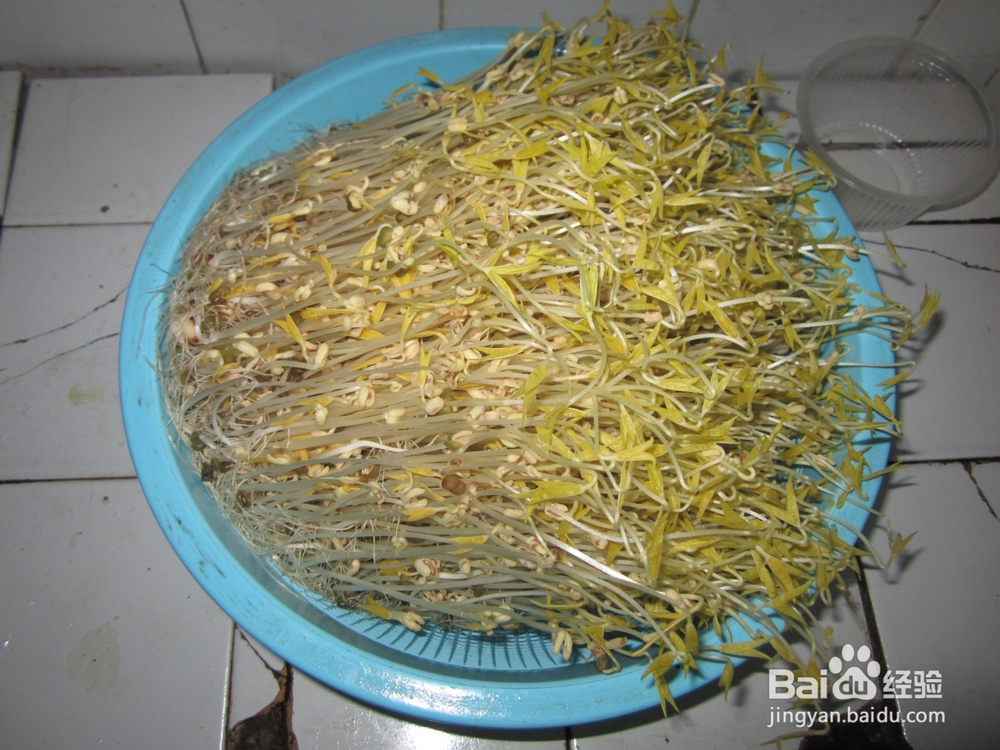 家庭自制绿豆芽简易方法