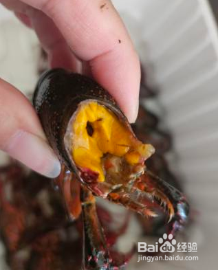 麻辣小龙虾怎么做