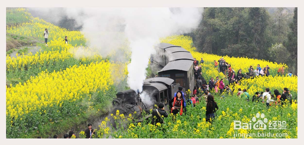 青岛到张家界自驾游