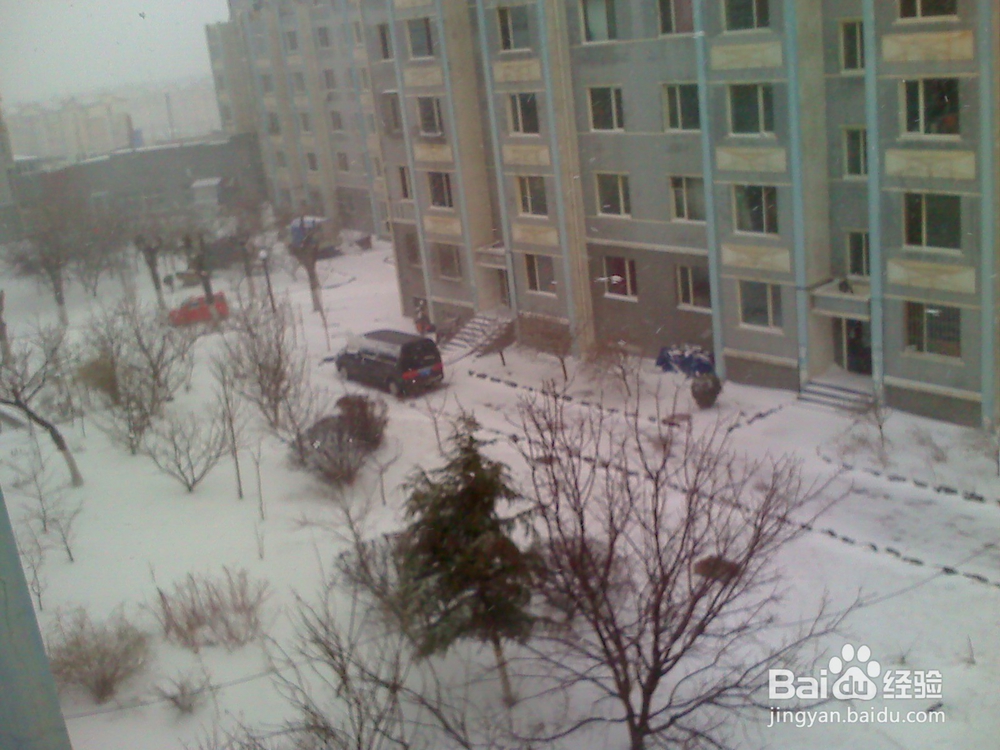 怎样告诉孩子安全出行---43