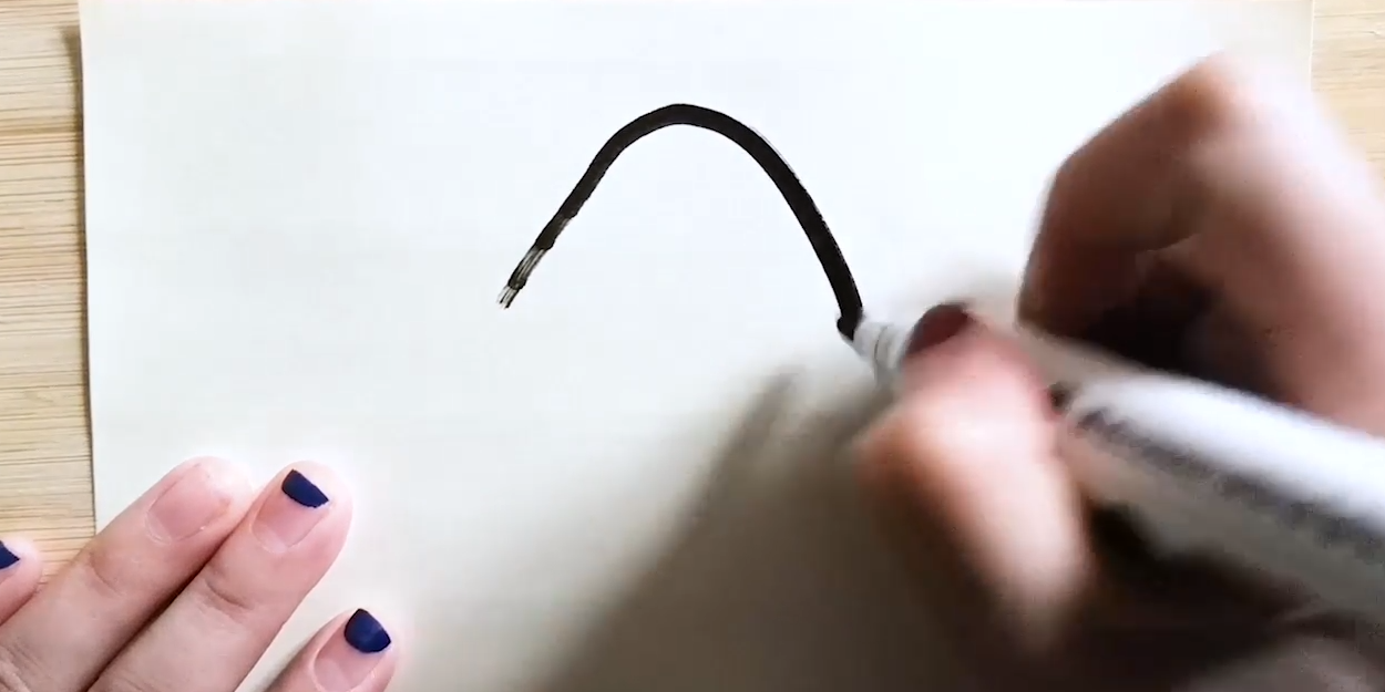 怎样画扇贝的简笔画?