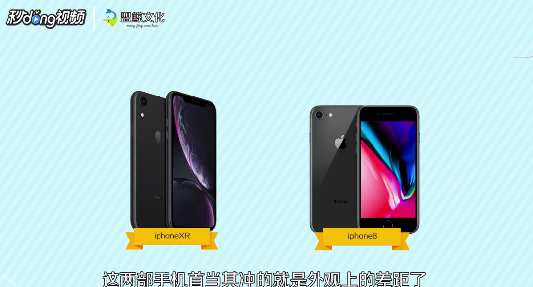 怎么比较苹果8和xr哪个好