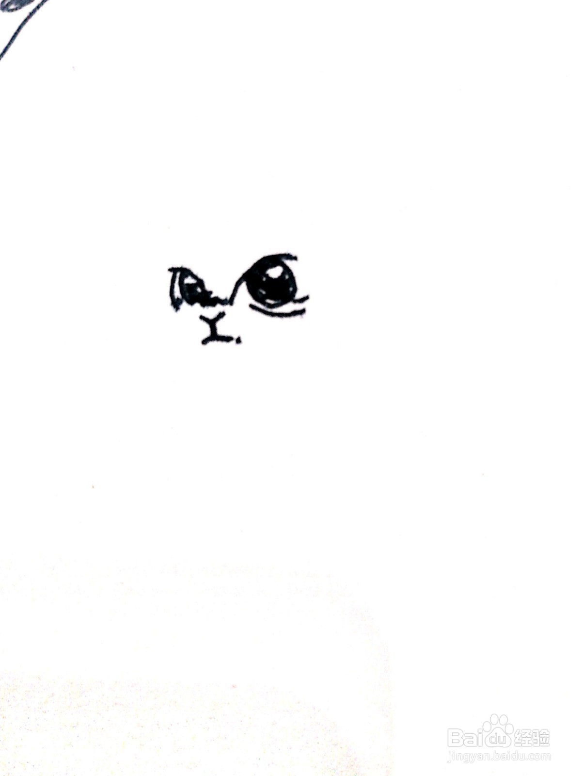 回头望的猫咪线描画怎么画