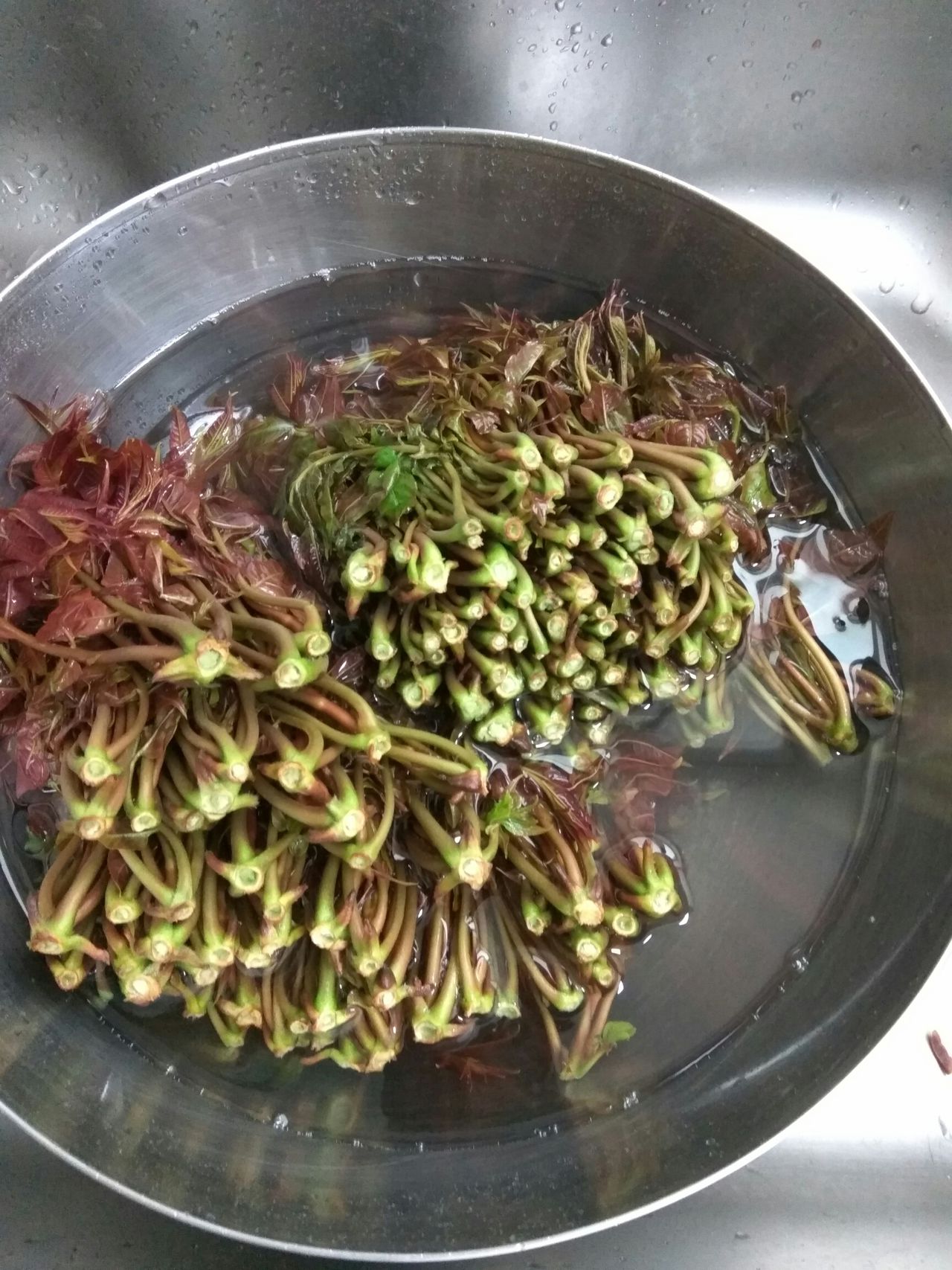 教你做美味的冷冻香椿