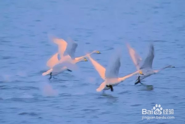 童话美景不只存在书中，看山东现实中的童话影像