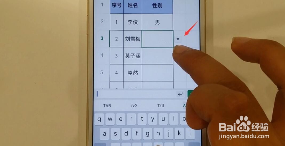 如何在苹果手机WPS的下拉列表中输入其他内容