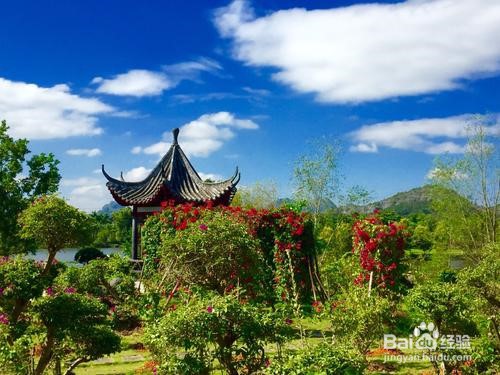 玉林市周边好玩的人气旅游景点推荐