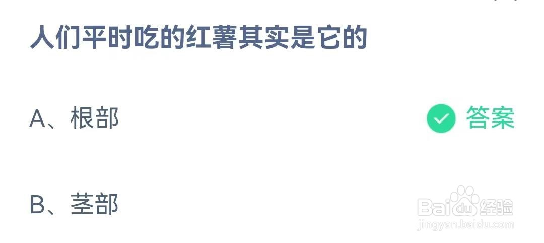 人们平时吃的红薯其实是它的