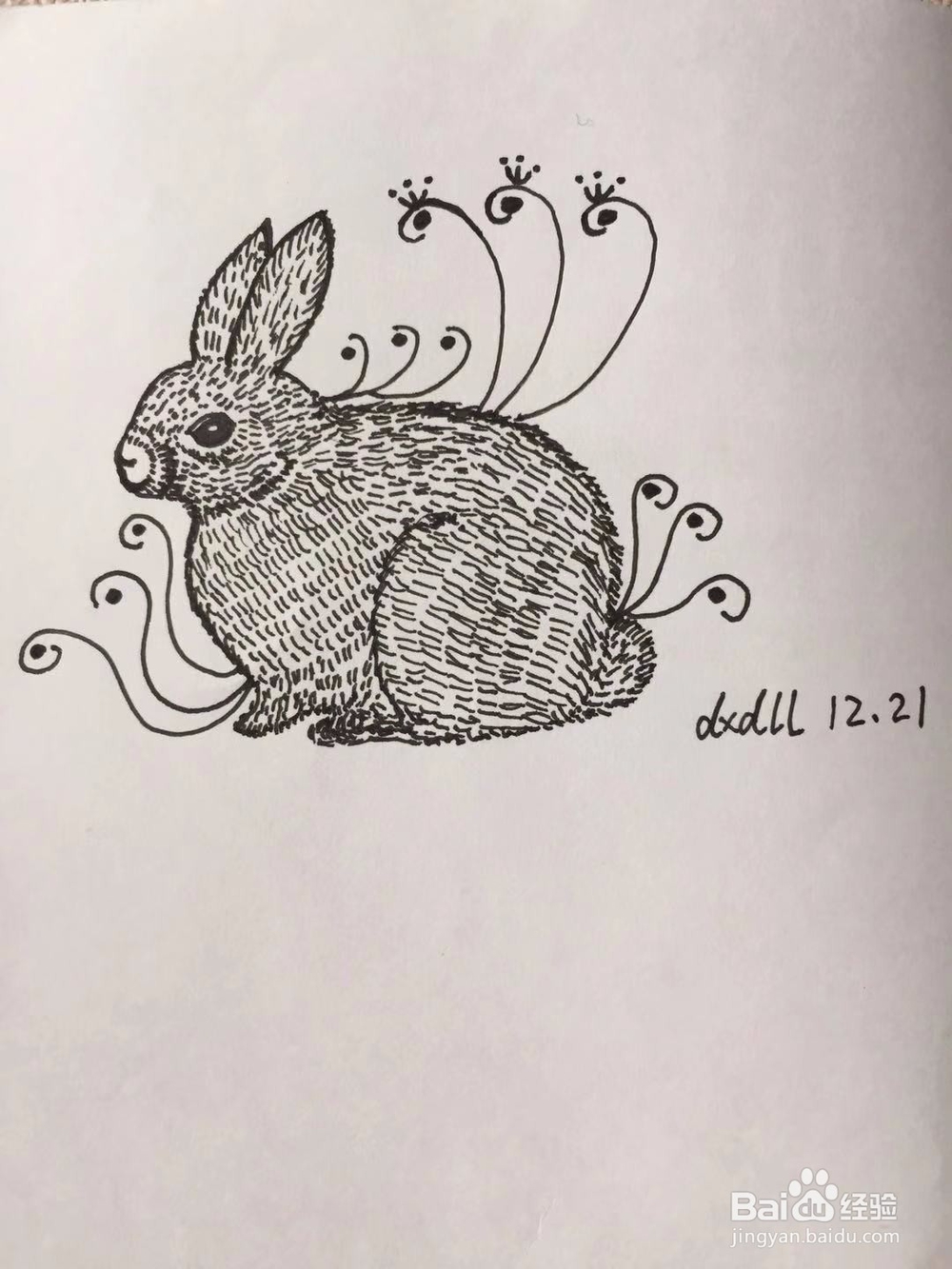 茉莉手绘之兔子
