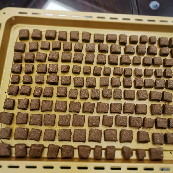 全麦小馒头饼干