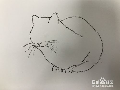 画一只趴在大花盆里的猫 百度经验