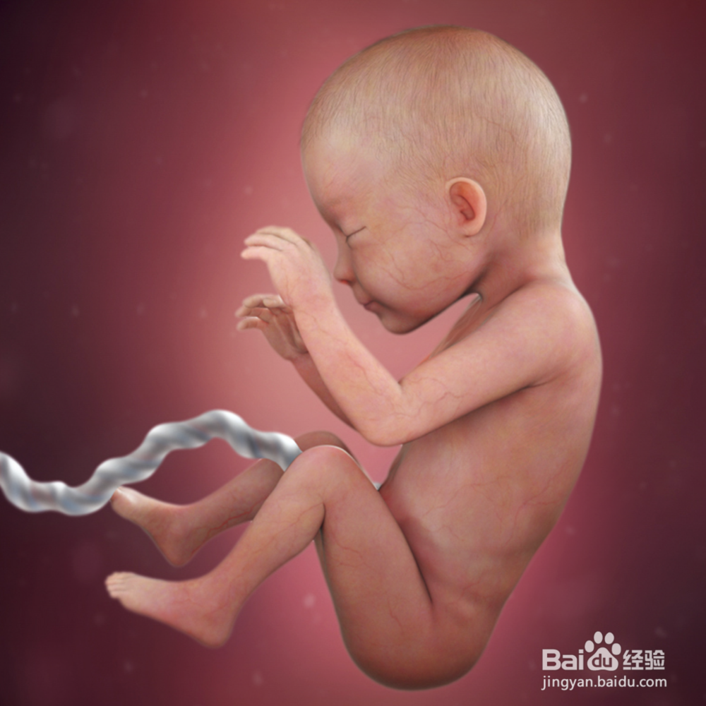 孕26周:胎儿和孕妈妈最新变化,不要错过哦!